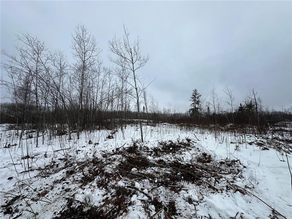 20+ Acre Recreational Land for Sale North of Kerrick, MN