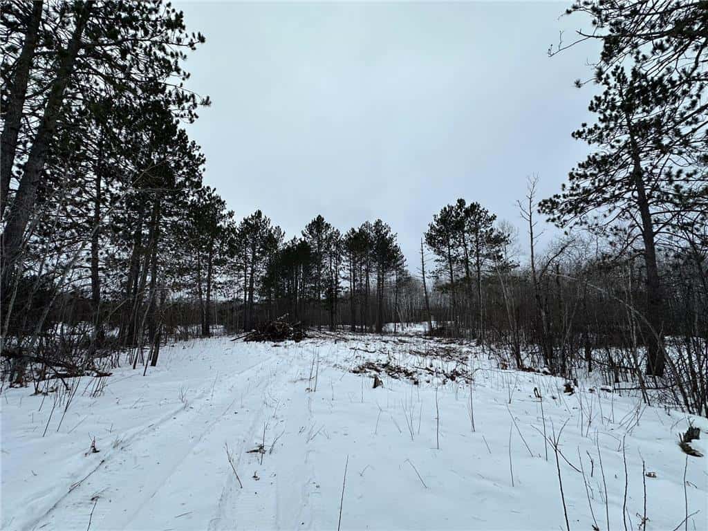 20+ Acre Recreational Land for Sale North of Kerrick, MN