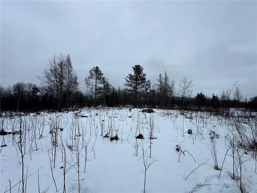 20+ Acre Recreational Land for Sale North of Kerrick, MN
