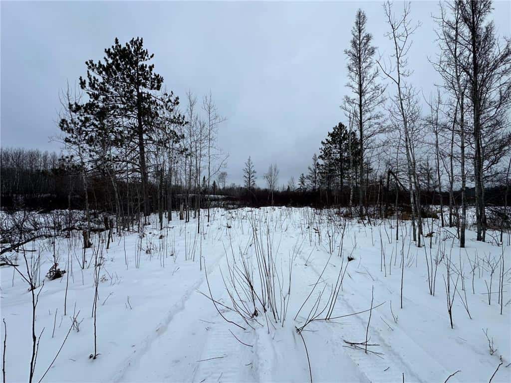 20+ Acre Recreational Land for Sale North of Kerrick, MN