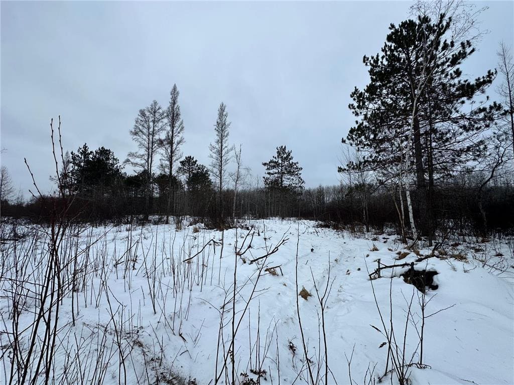 20+ Acre Recreational Land for Sale North of Kerrick, MN