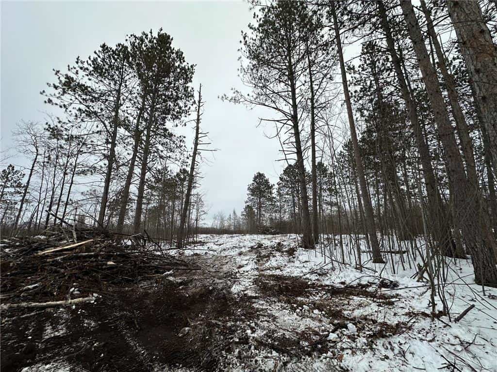 20+ Acre Recreational Land for Sale North of Kerrick, MN