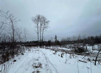 10 Acres of Prime Hunting & Recreational Land in Kerrick, MN