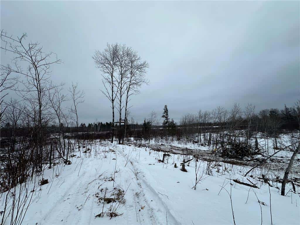10 Acres of Prime Hunting & Recreational Land in Kerrick, MN