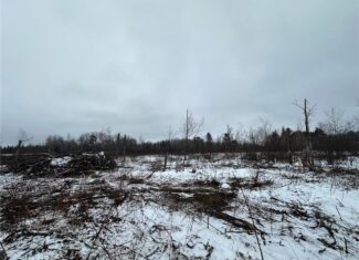 10 Acres of Prime Hunting & Recreational Land in Kerrick, MN