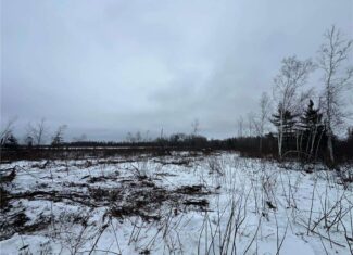 10 Acres of Prime Hunting & Recreational Land in Kerrick, MN