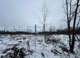 10 Acres of Prime Hunting & Recreational Land in Kerrick, MN