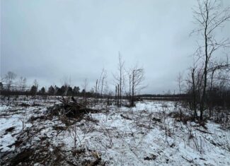 10 Acres of Prime Hunting & Recreational Land in Kerrick, MN