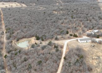84 acre North Texas Hunting Property