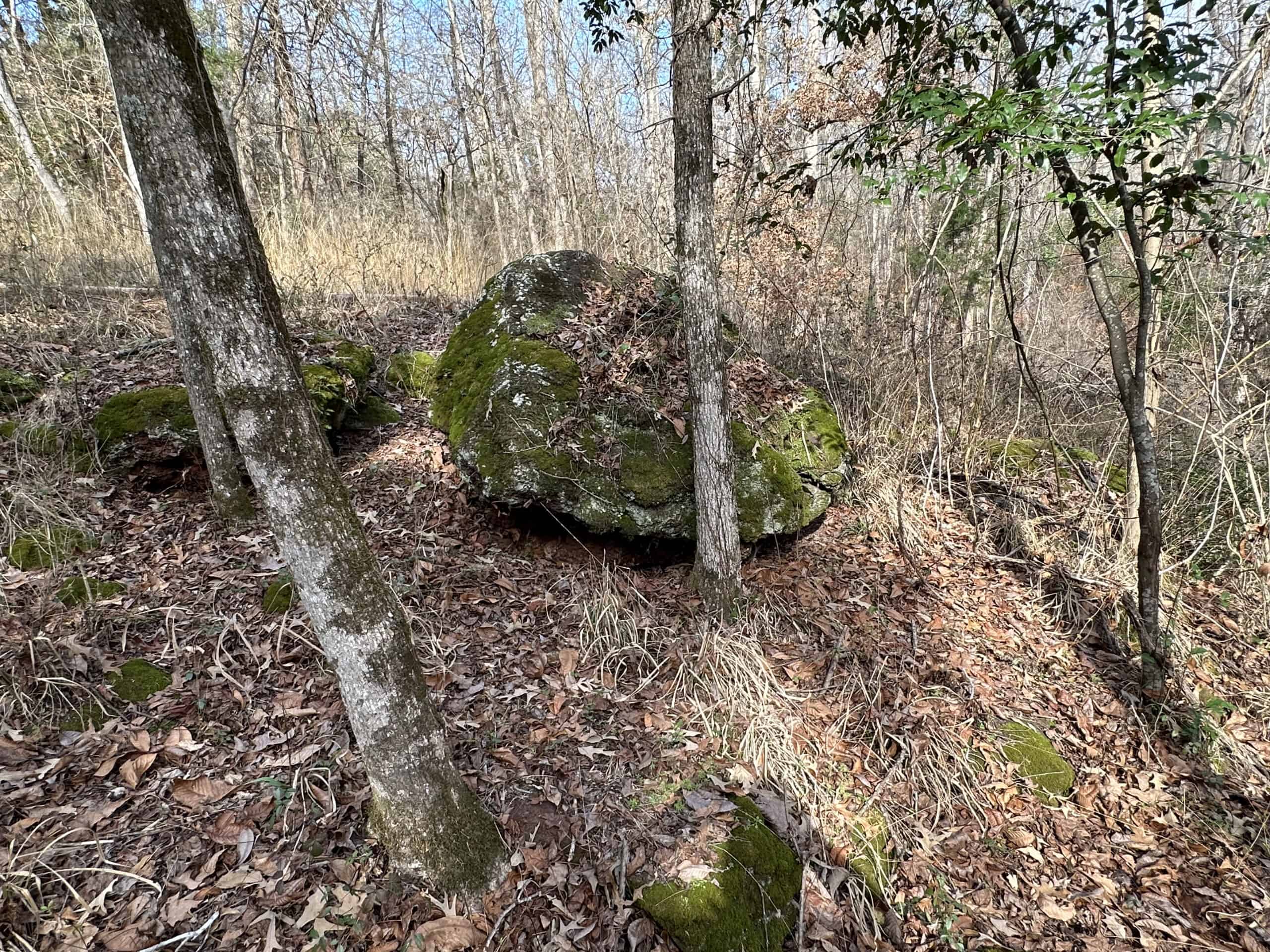East Texas Hunting/Recreational Tract For Sale