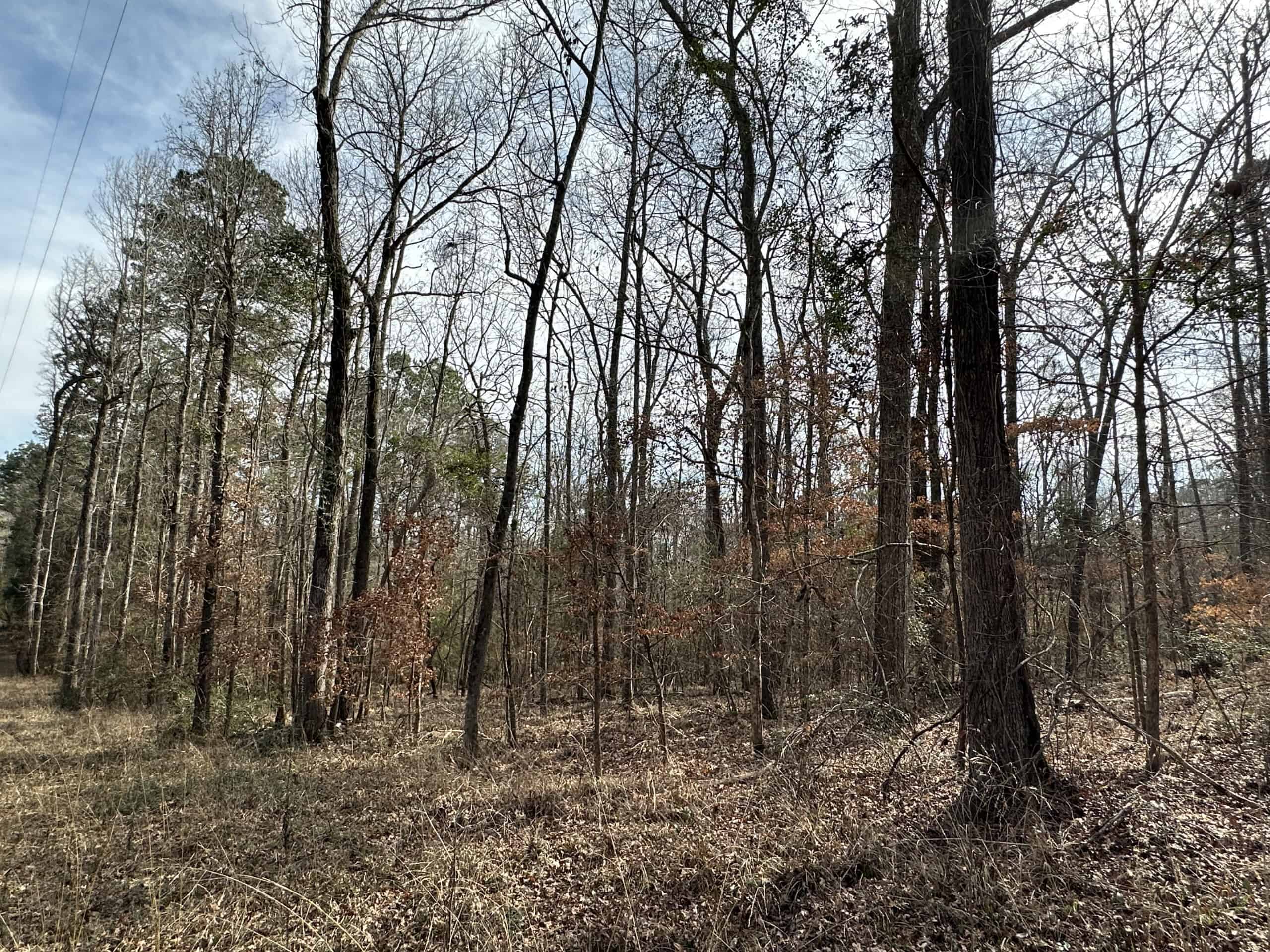 East Texas Hunting/Recreational Tract For Sale