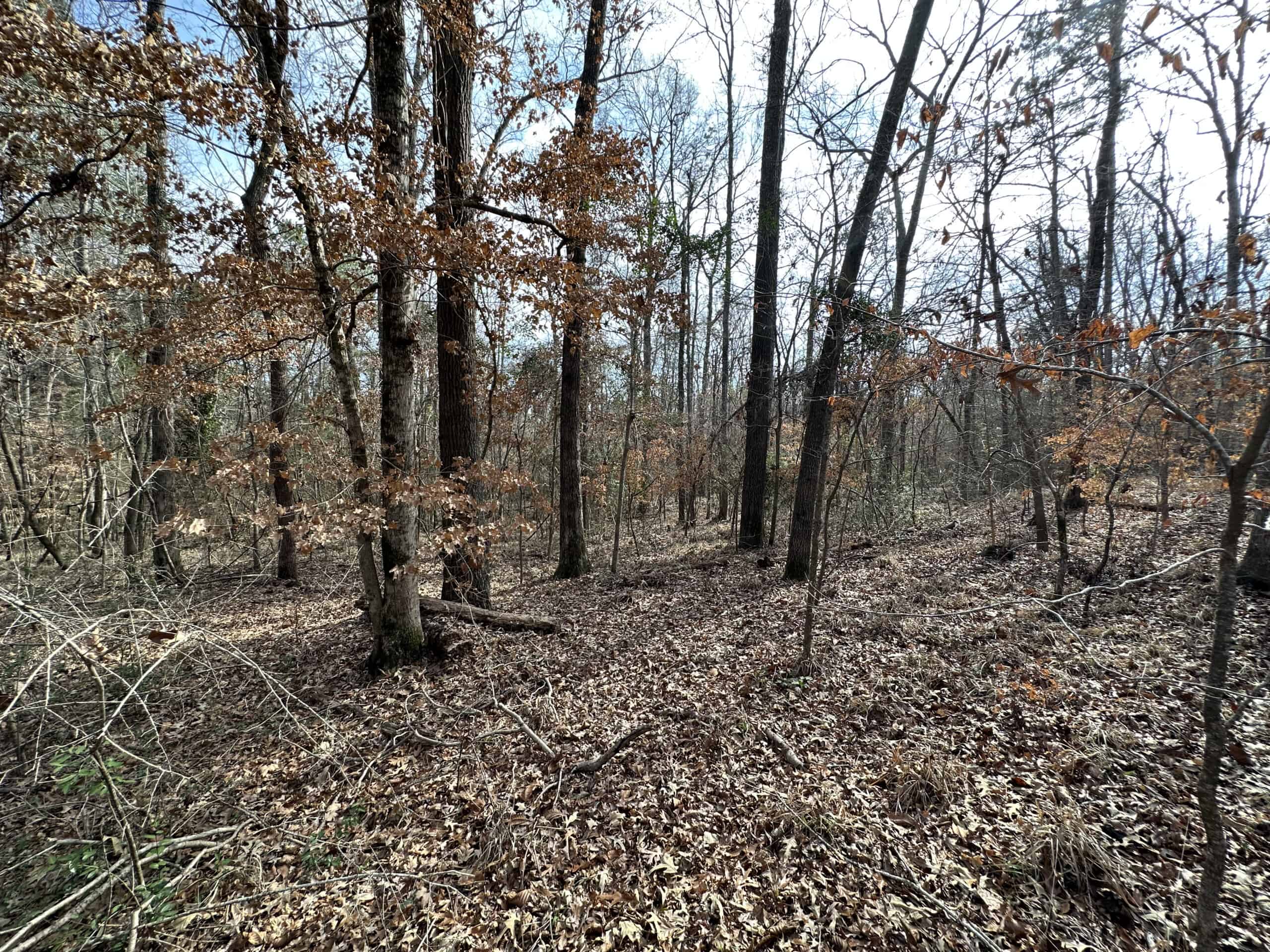 East Texas Hunting/Recreational Tract For Sale