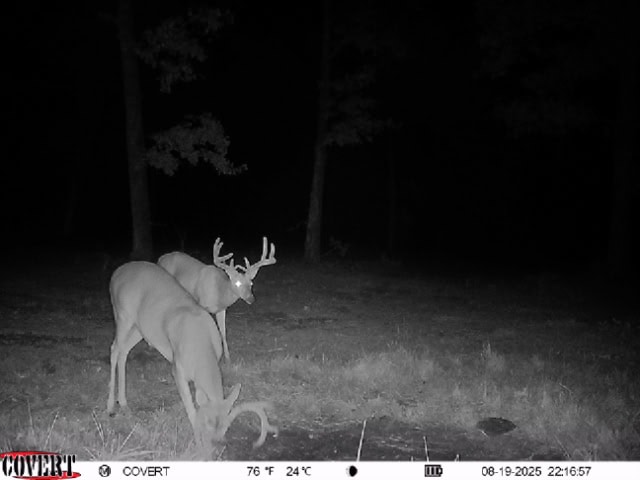 LAND FOR SALE IN THE ARKANSAS OZARK MOUNTAINS