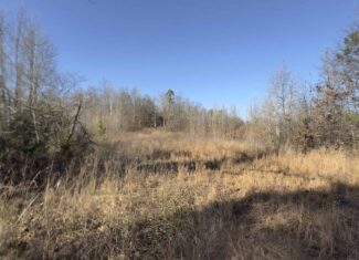 HUNTING AND RECREATIONAL LAND FOR SALE IN NORTH CENTRAL ARKANSAS