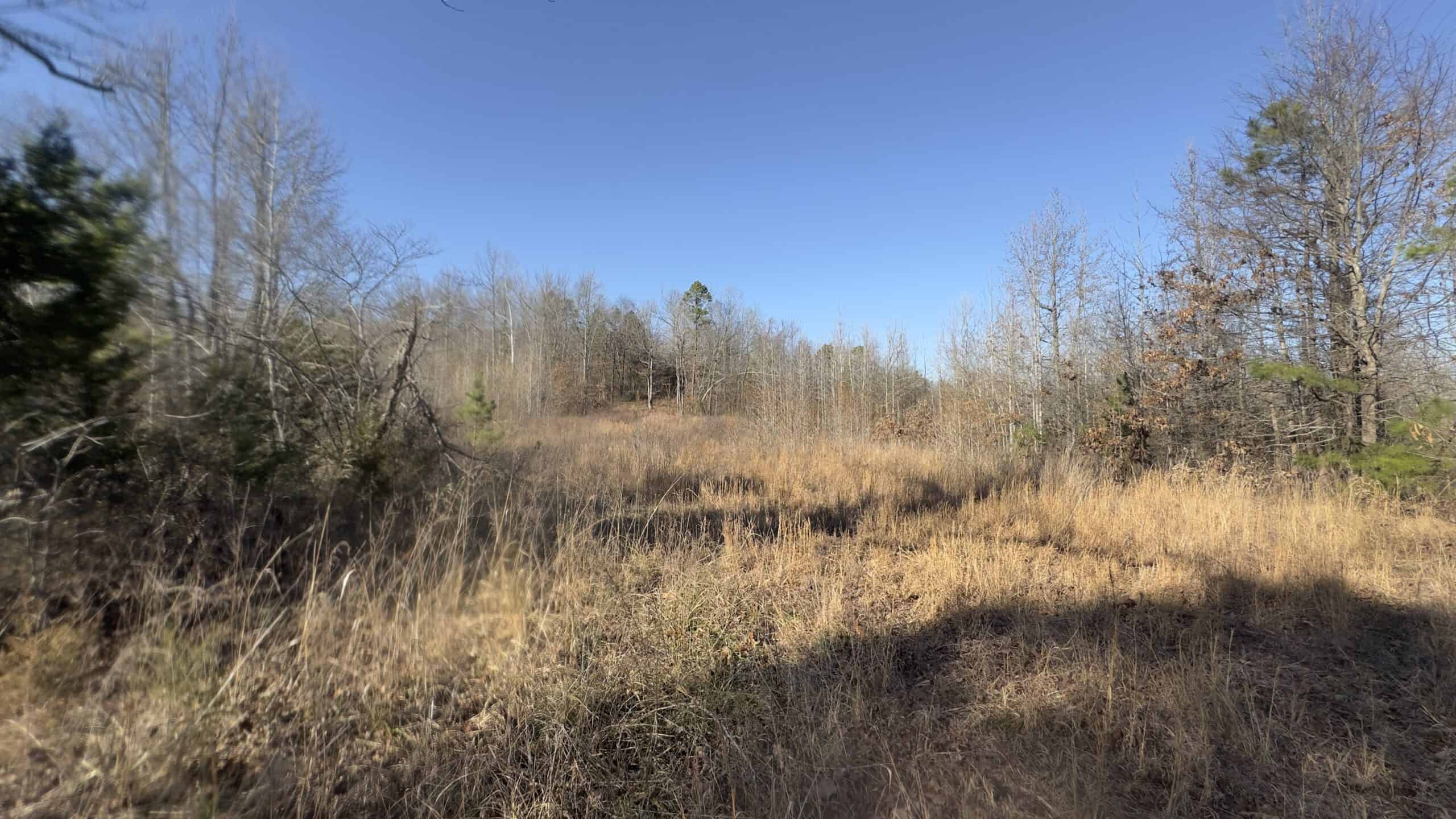 HUNTING AND RECREATIONAL LAND FOR SALE IN NORTH CENTRAL ARKANSAS