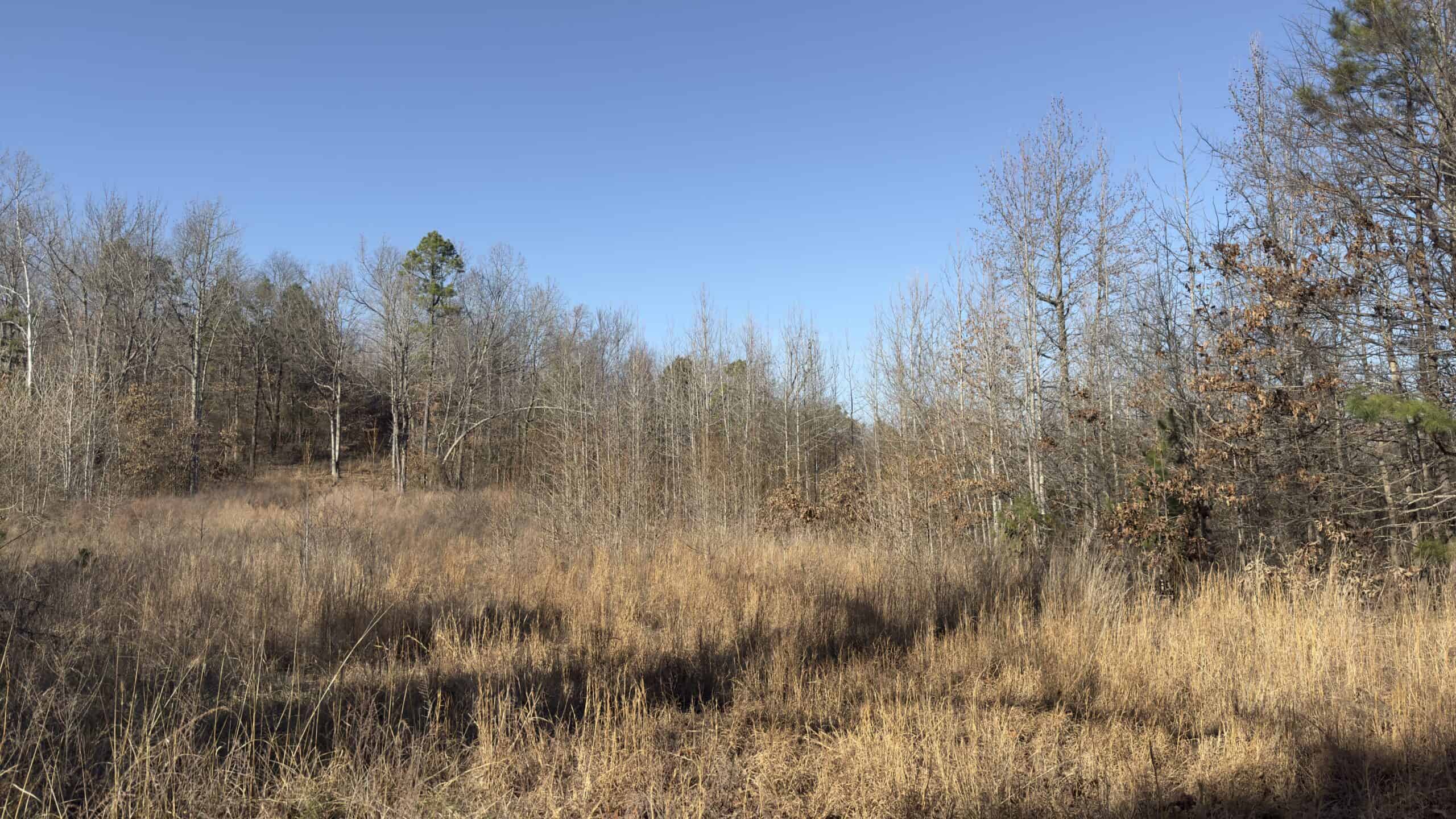HUNTING AND RECREATIONAL LAND FOR SALE IN NORTH CENTRAL ARKANSAS