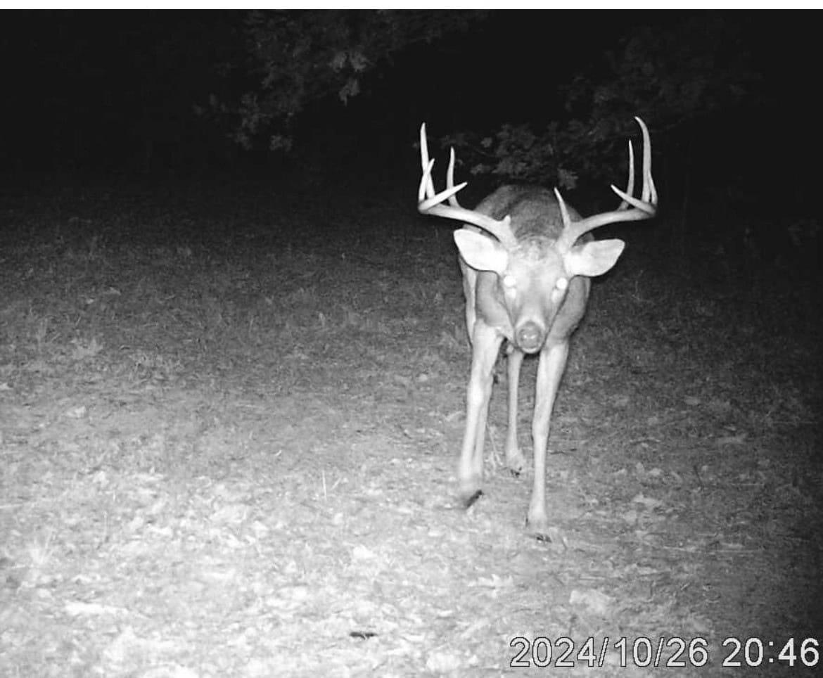 LAND FOR SALE IN THE ARKANSAS OZARK MOUNTAINS