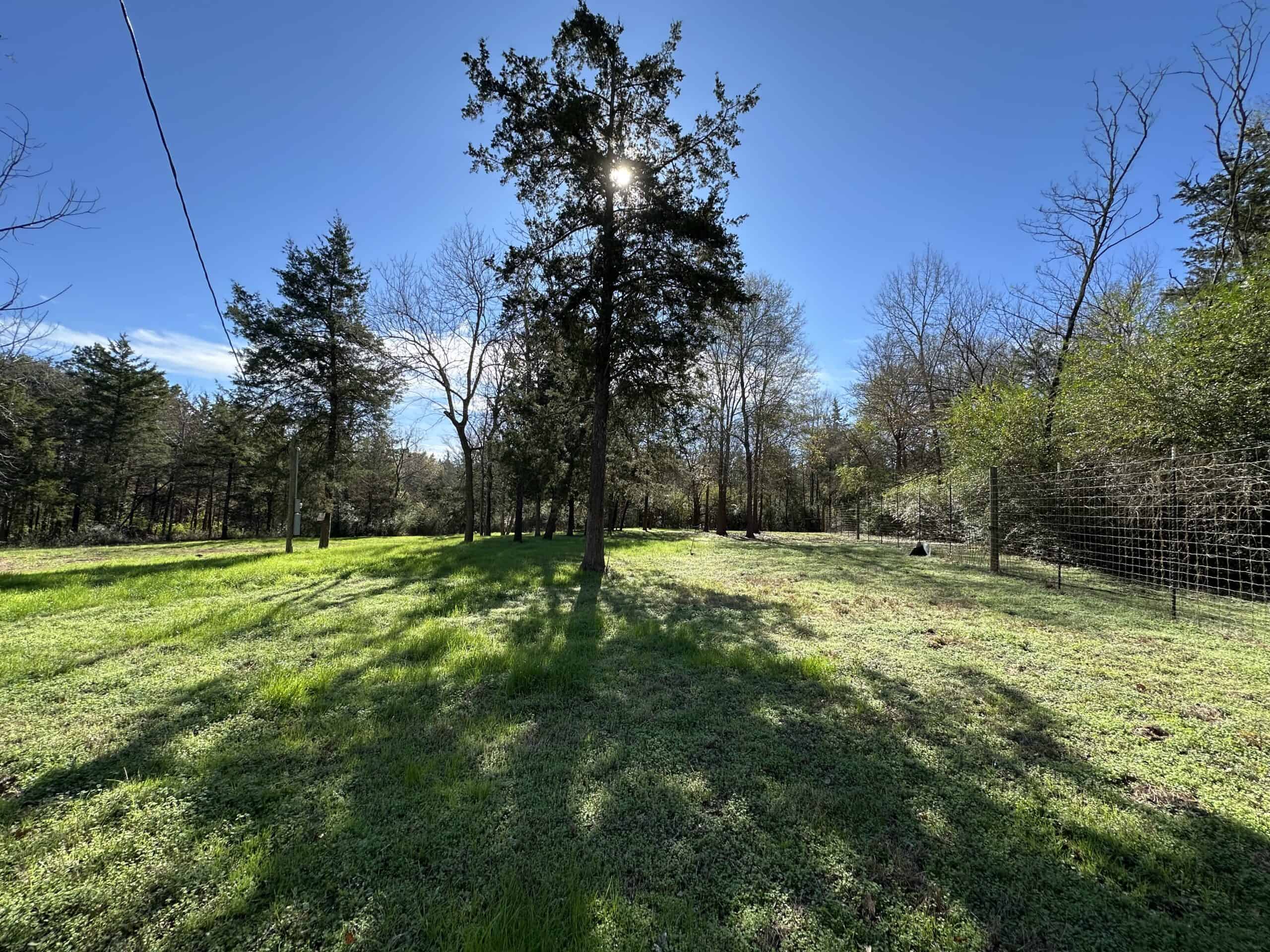 East Texas Hunting/Recreational High Fence Land For Sale