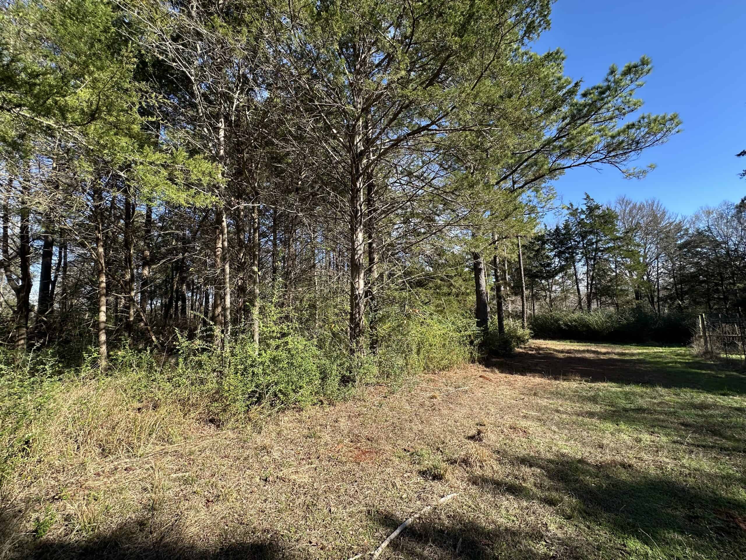 East Texas Hunting/Recreational High Fence Land For Sale