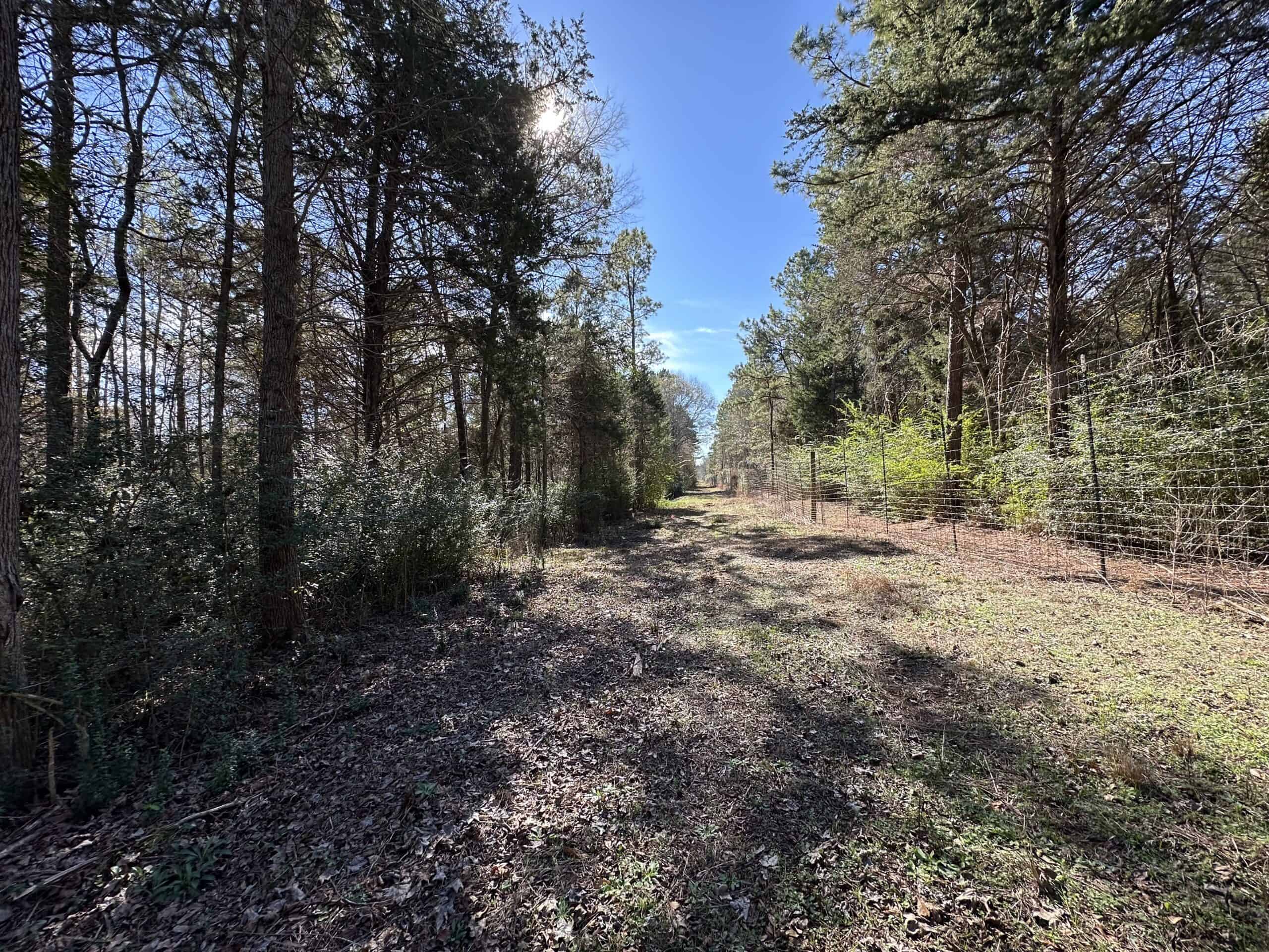 East Texas Hunting/Recreational High Fence Land For Sale