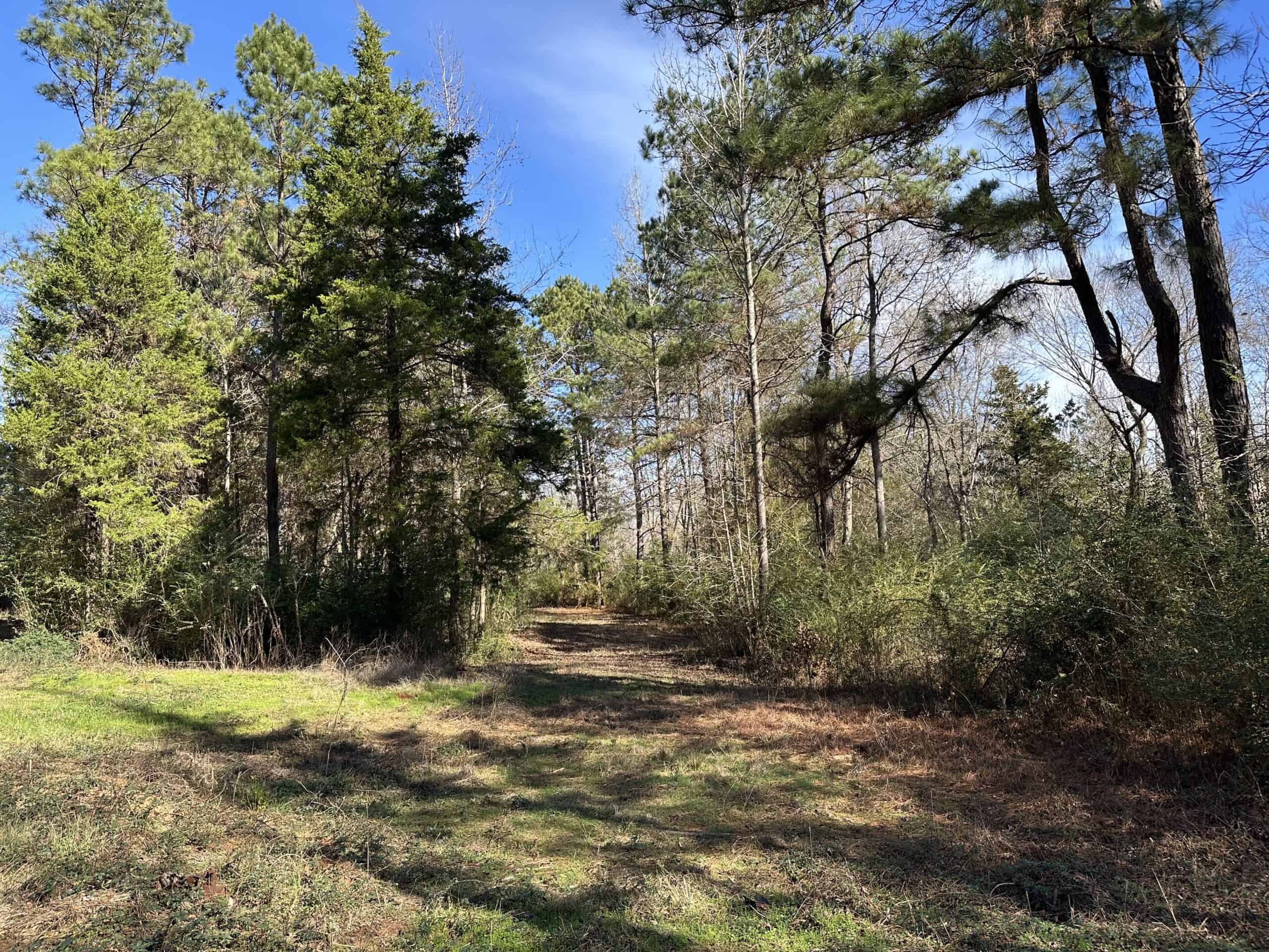 East Texas Hunting/Recreational High Fence Land For Sale