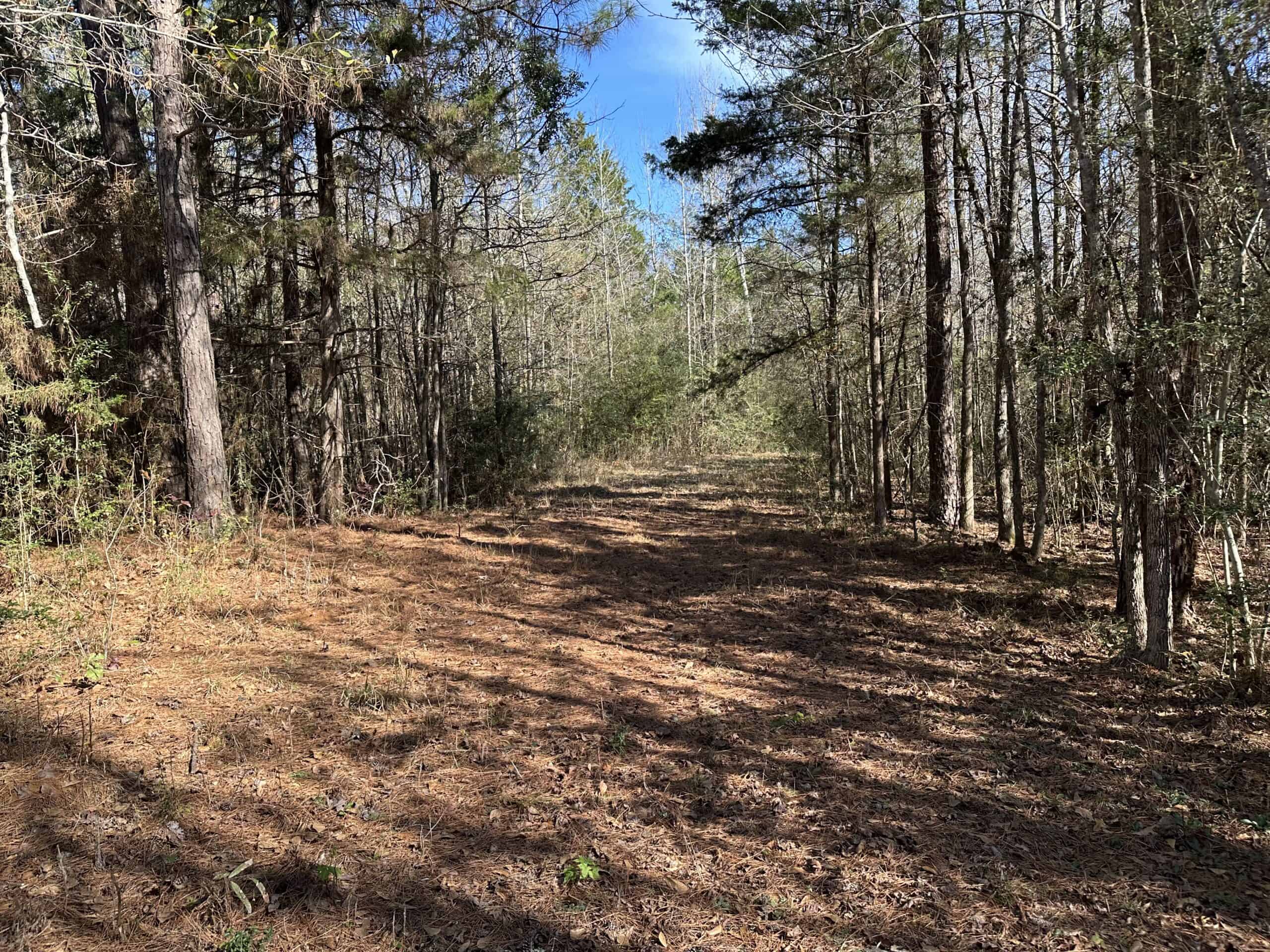 East Texas Hunting/Recreational High Fence Land For Sale