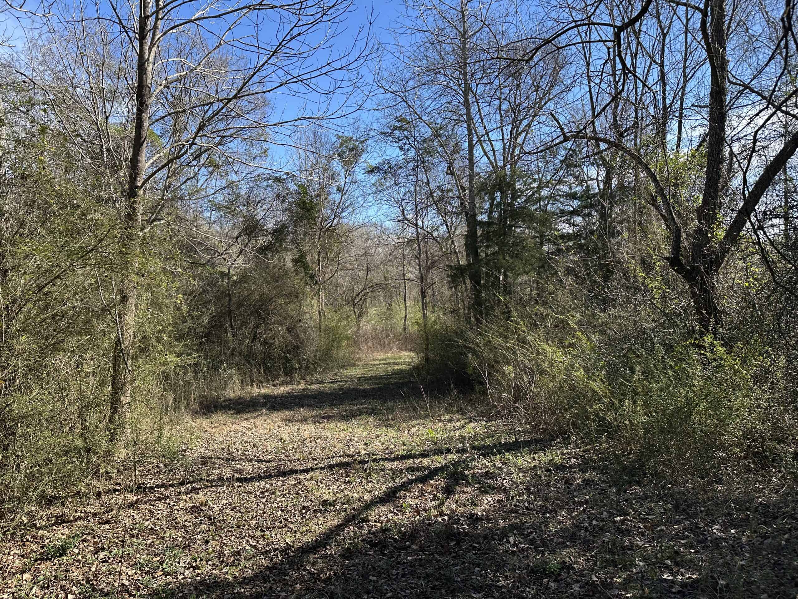 East Texas Hunting/Recreational High Fence Land For Sale