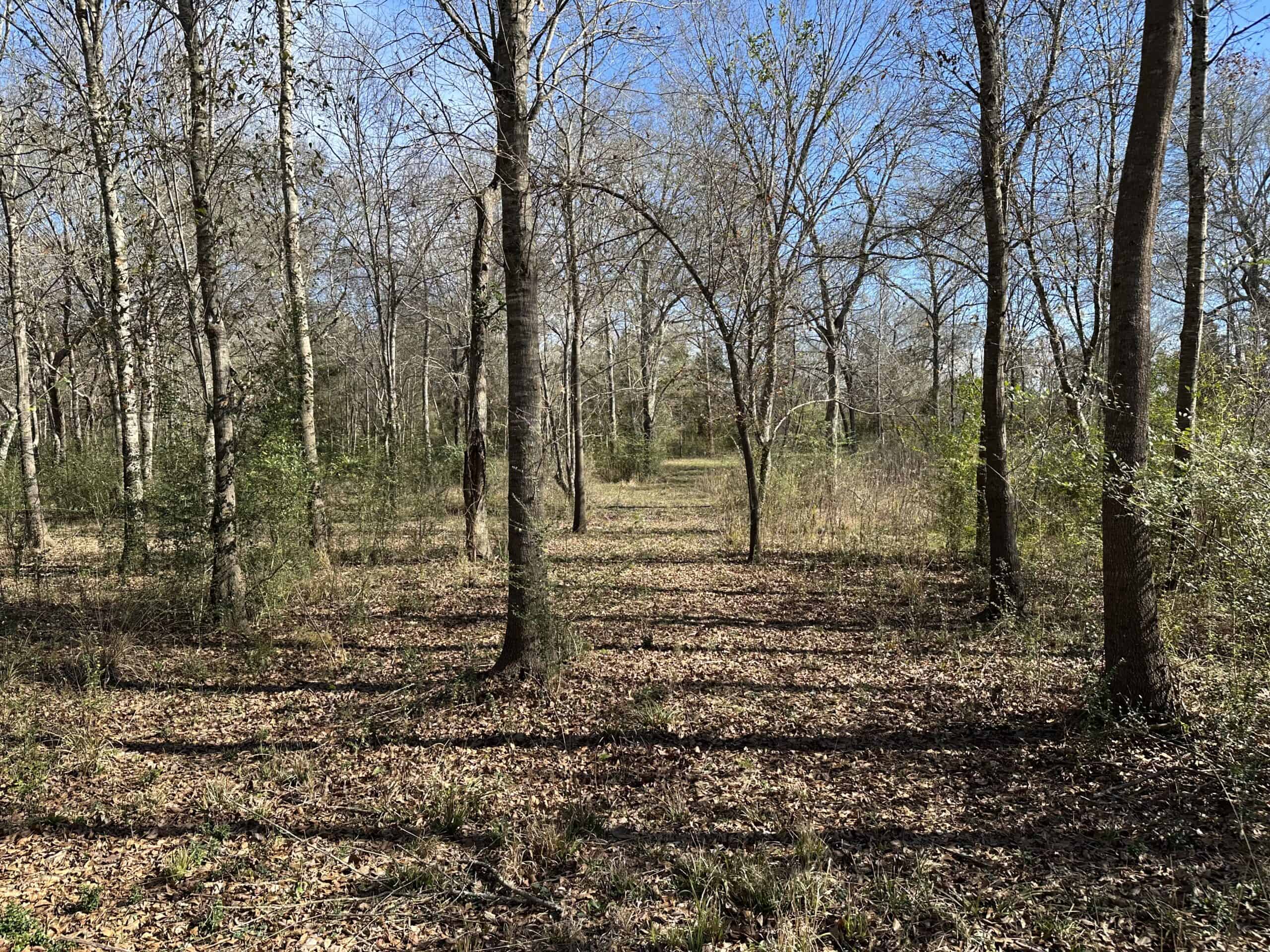 East Texas Hunting/Recreational High Fence Land For Sale