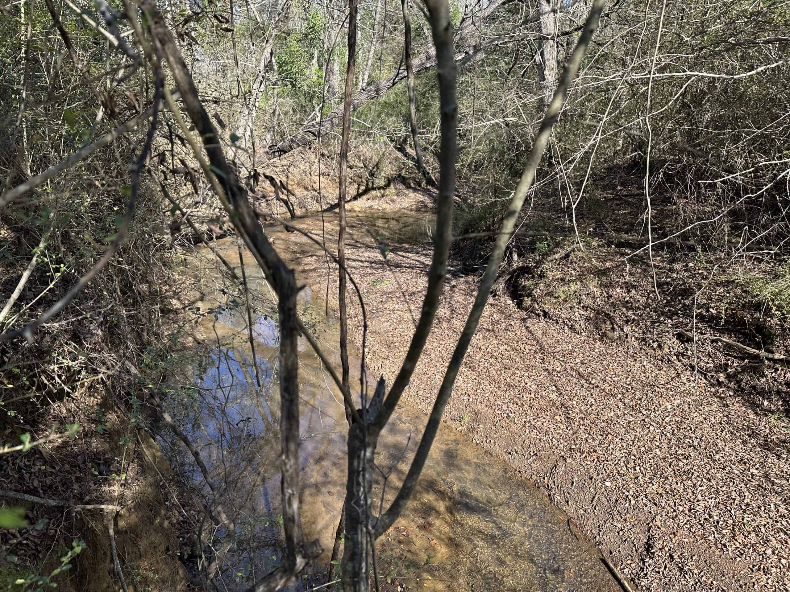 East Texas Hunting/Recreational High Fence Land For Sale