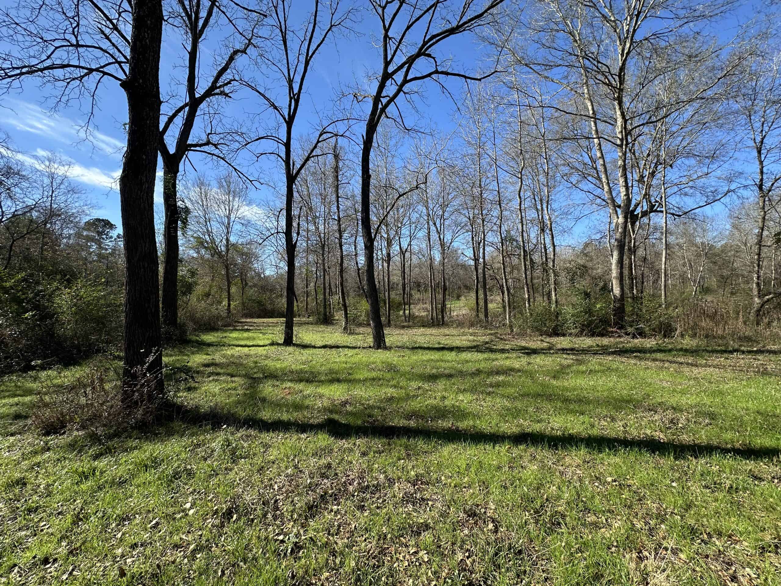East Texas Hunting/Recreational High Fence Land For Sale