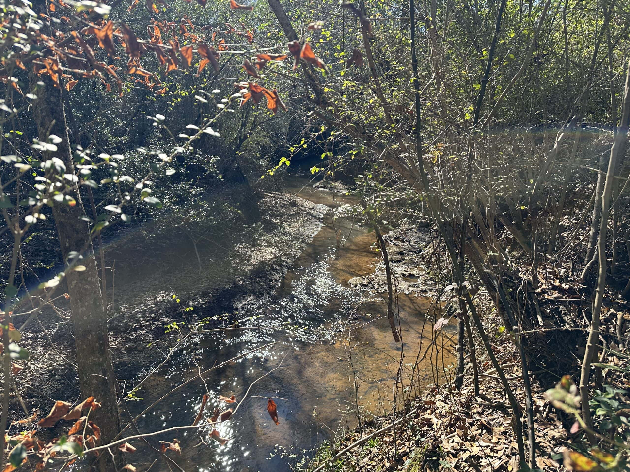 East Texas Hunting/Recreational High Fence Land For Sale