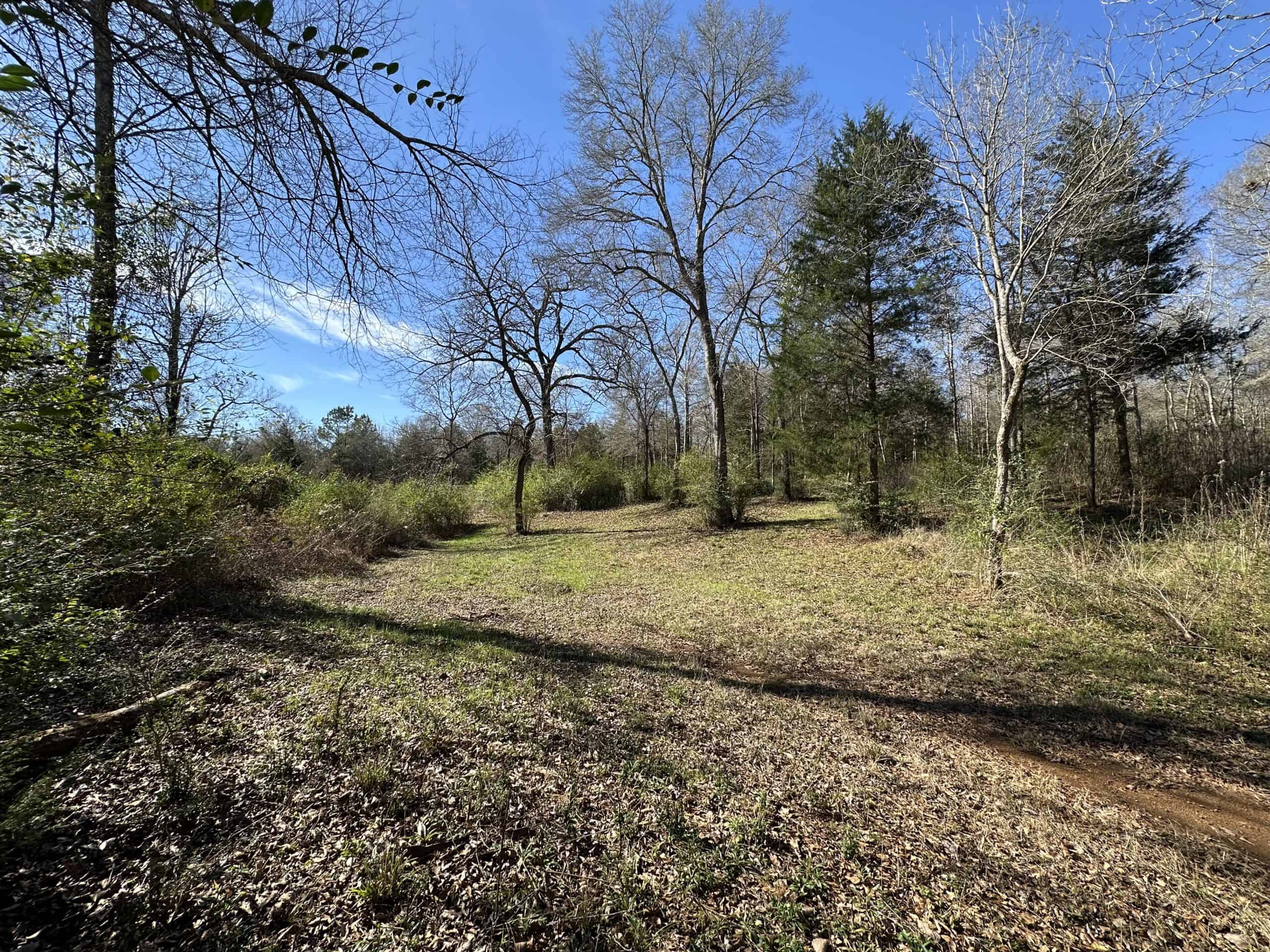 East Texas Hunting/Recreational High Fence Land For Sale