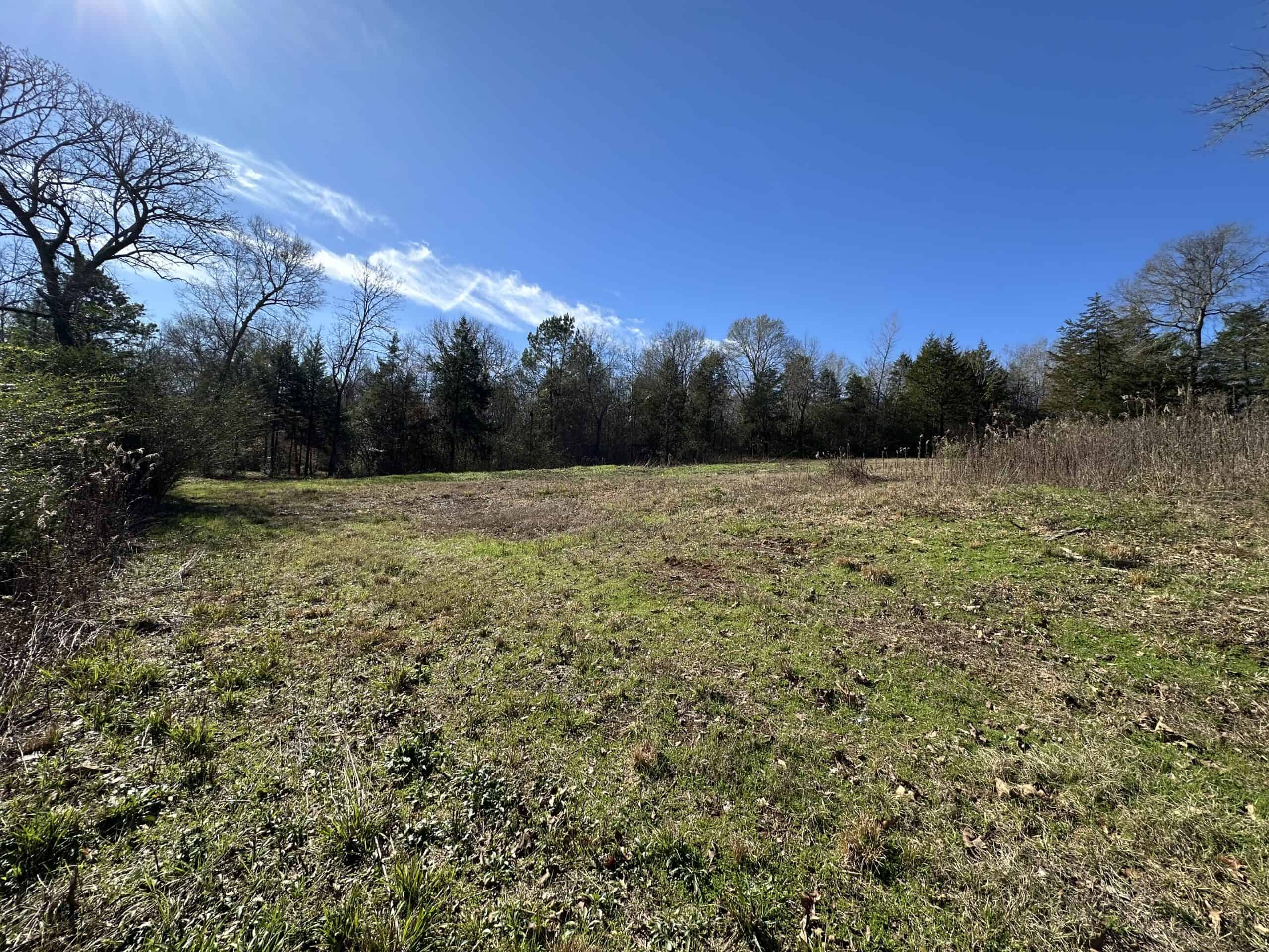 East Texas Hunting/Recreational High Fence Land For Sale