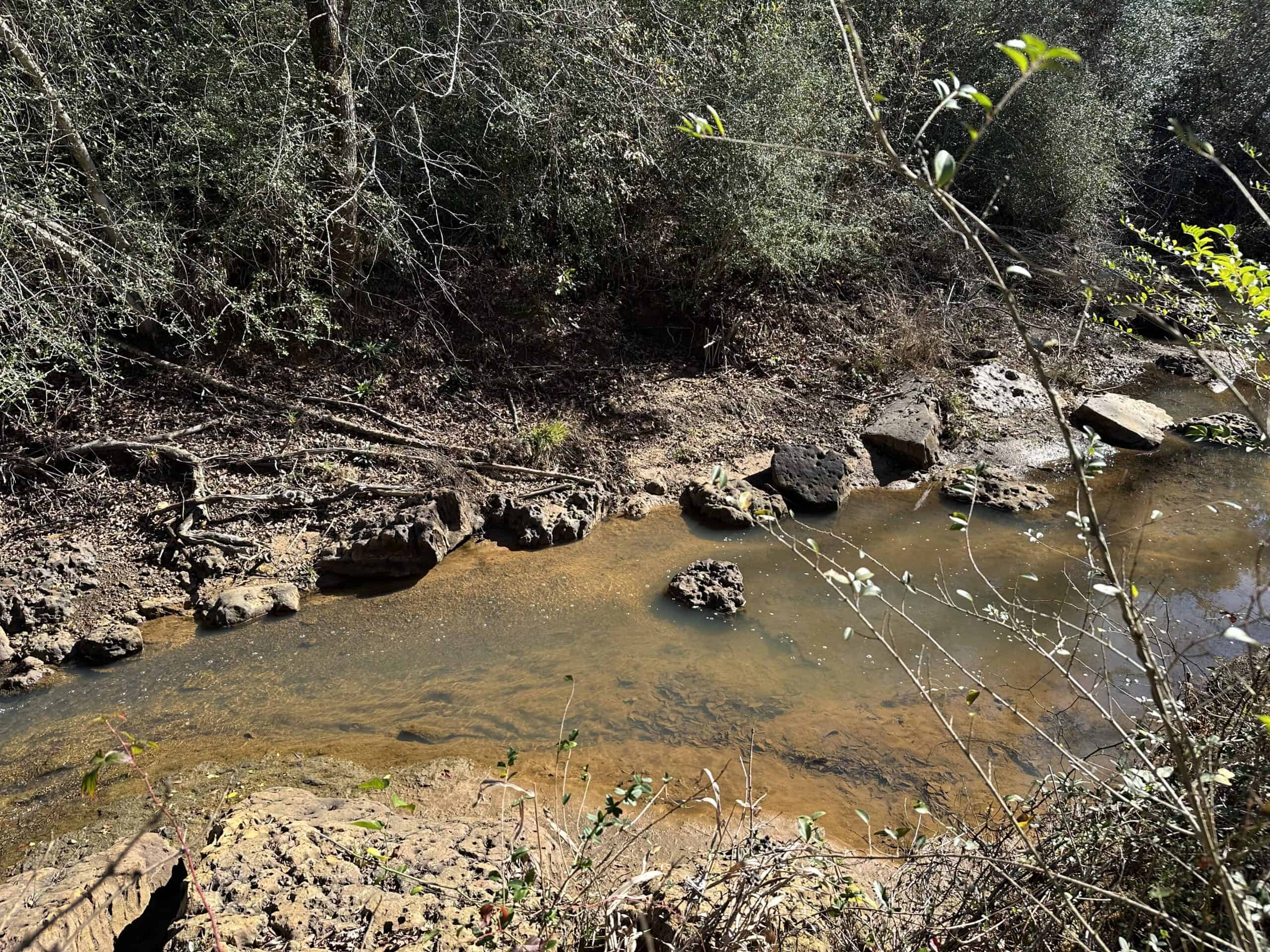East Texas Hunting/Recreational High Fence Land For Sale