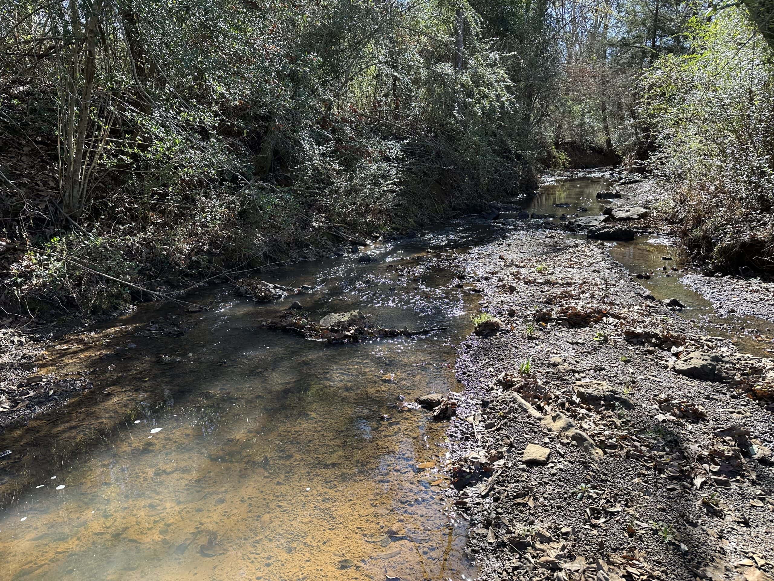 East Texas Hunting/Recreational High Fence Land For Sale