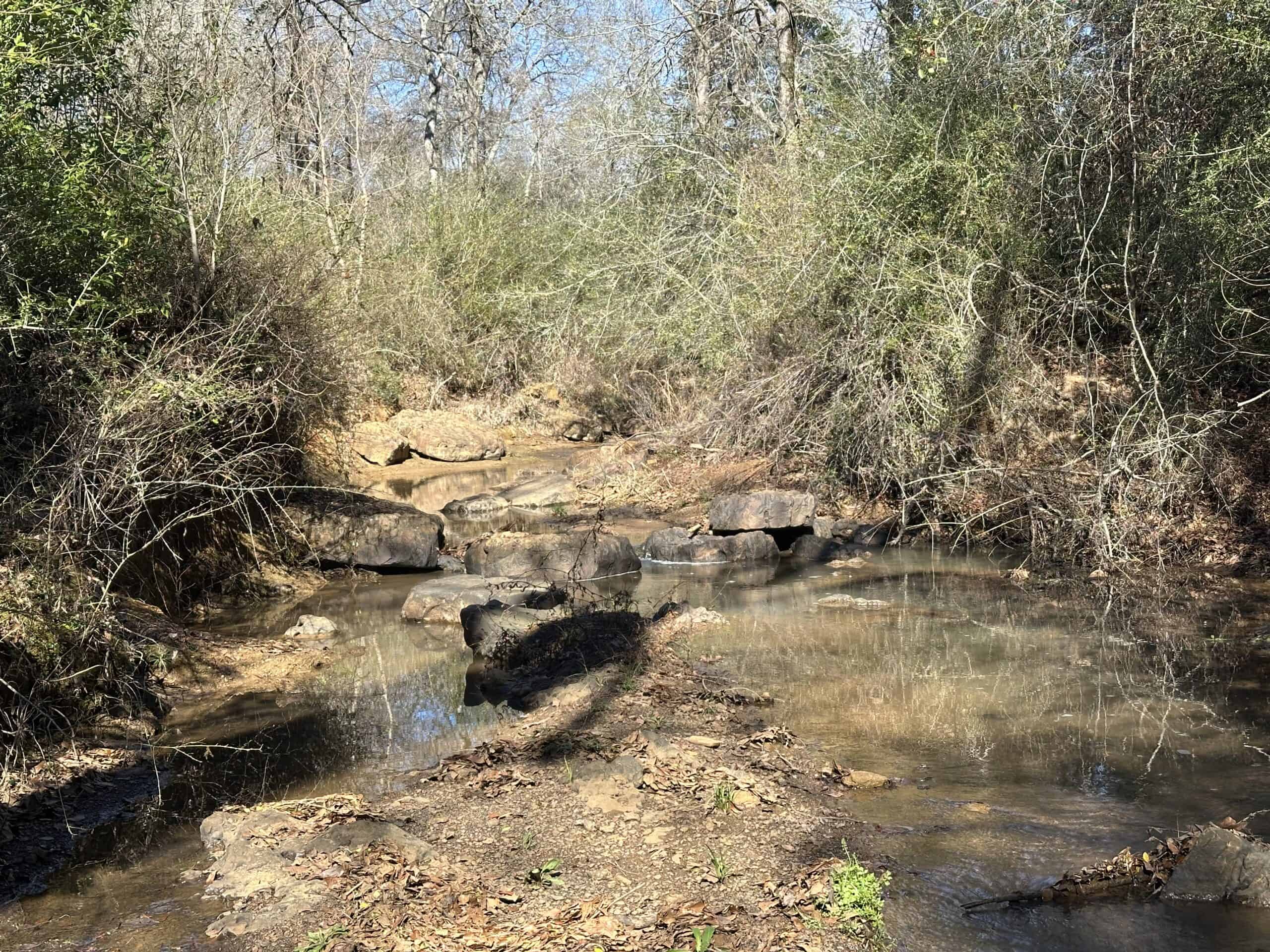 East Texas Hunting/Recreational High Fence Land For Sale