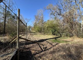 East Texas Hunting/Recreational High Fence Land For Sale