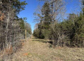East Texas Hunting/Recreational High Fence Land For Sale