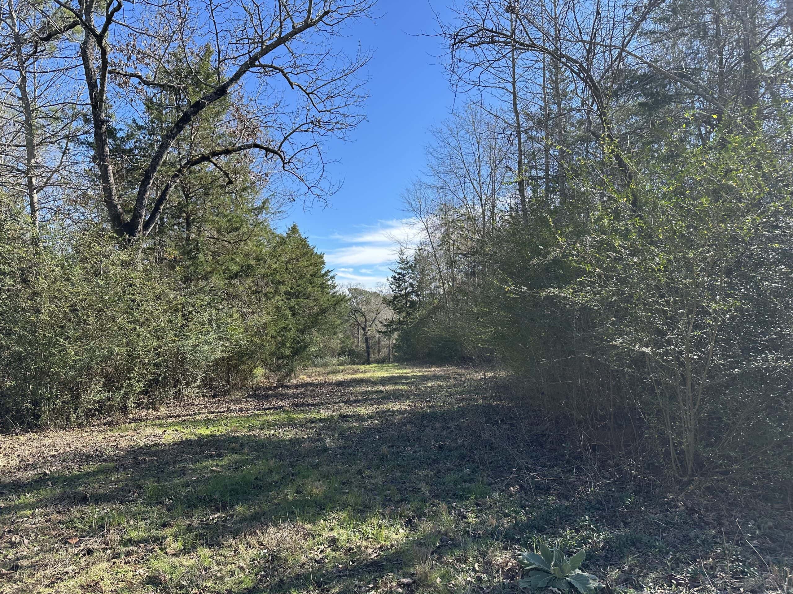East Texas Hunting/Recreational High Fence Land For Sale