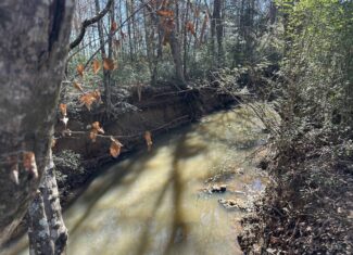 East Texas Hunting/Recreational High Fence Land For Sale