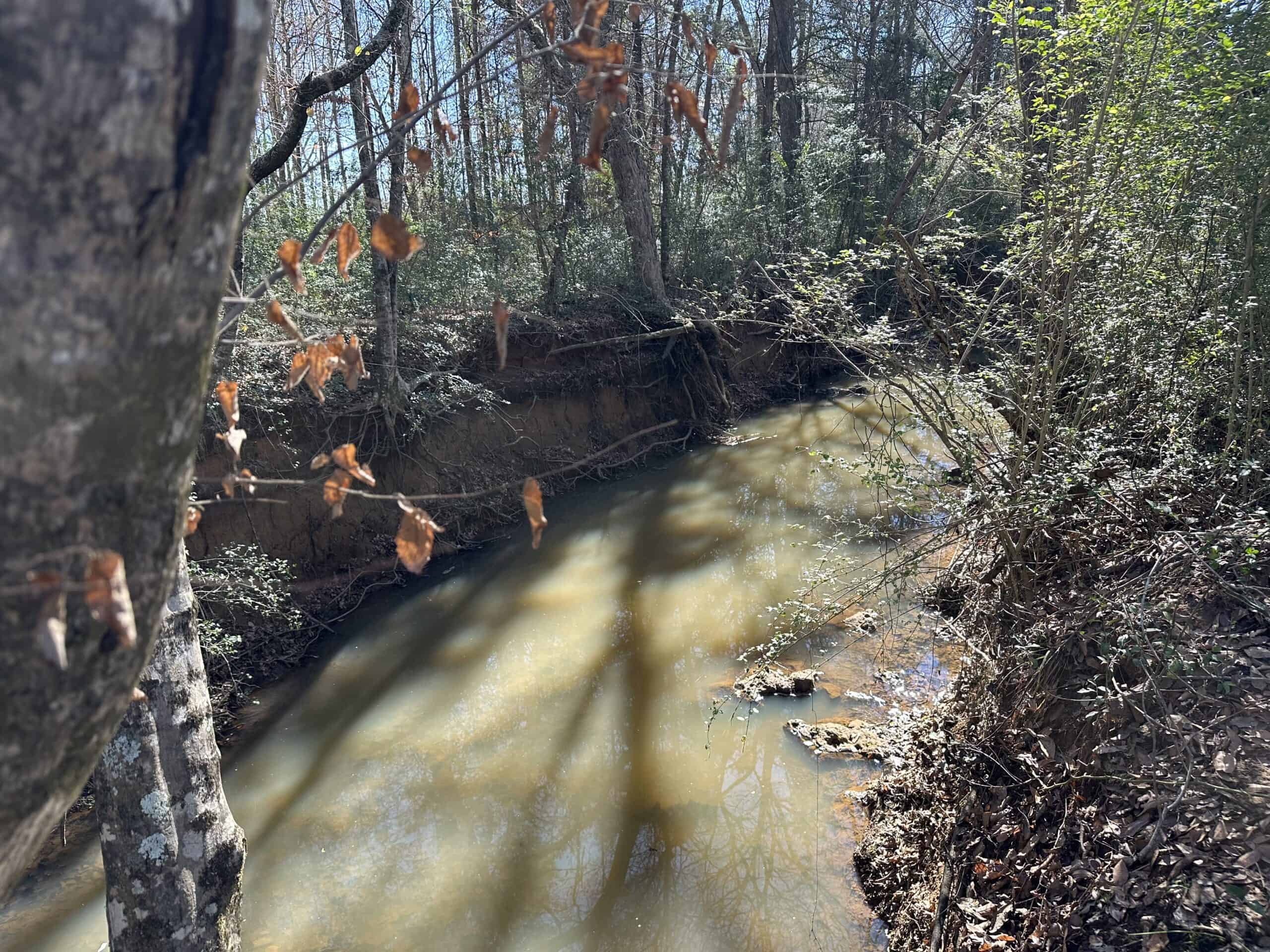 East Texas Hunting/Recreational High Fence Land For Sale