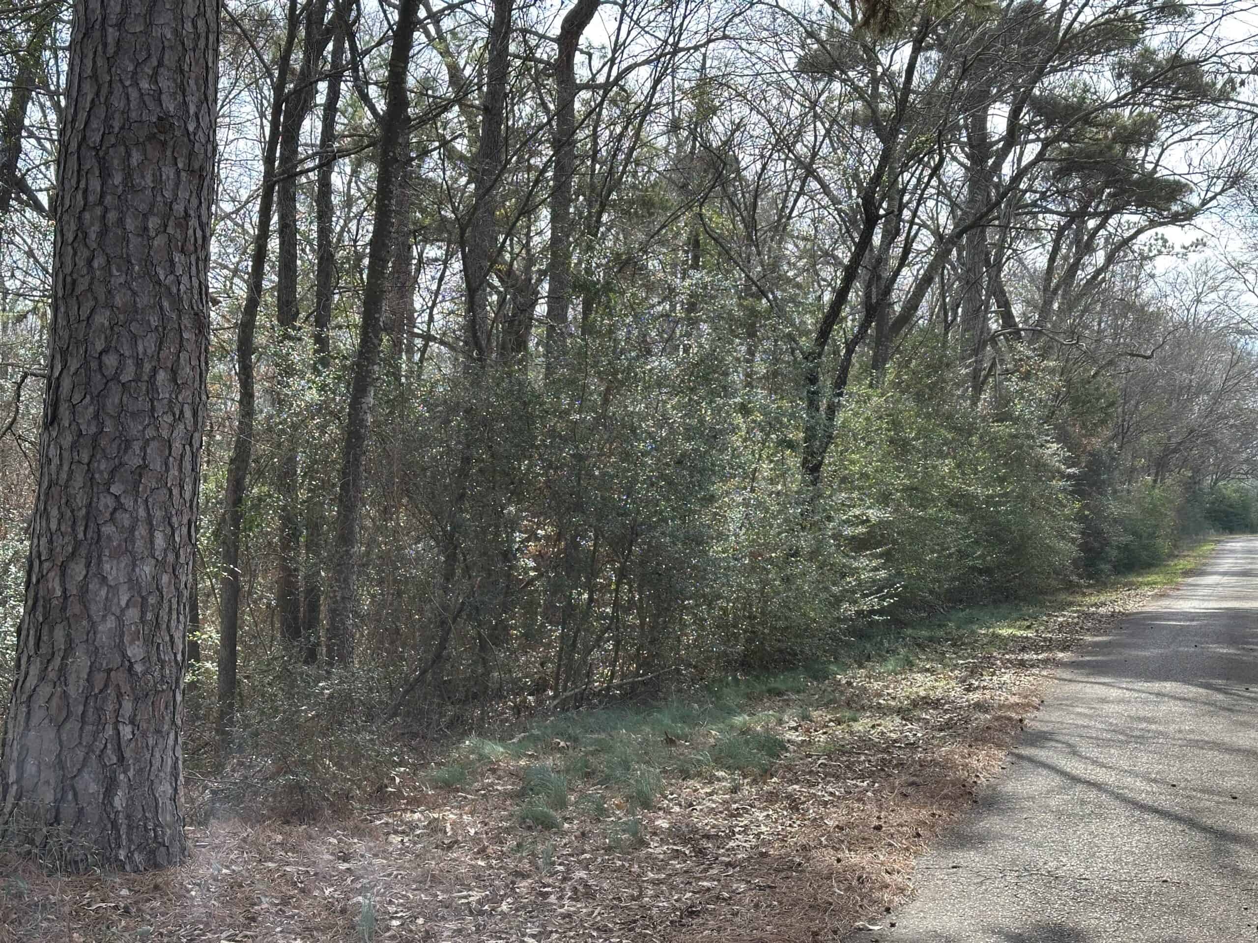 East Texas Hunting/Recreational Tract For Sale