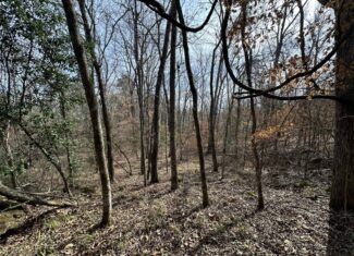 East Texas Hunting/Recreational Tract For Sale