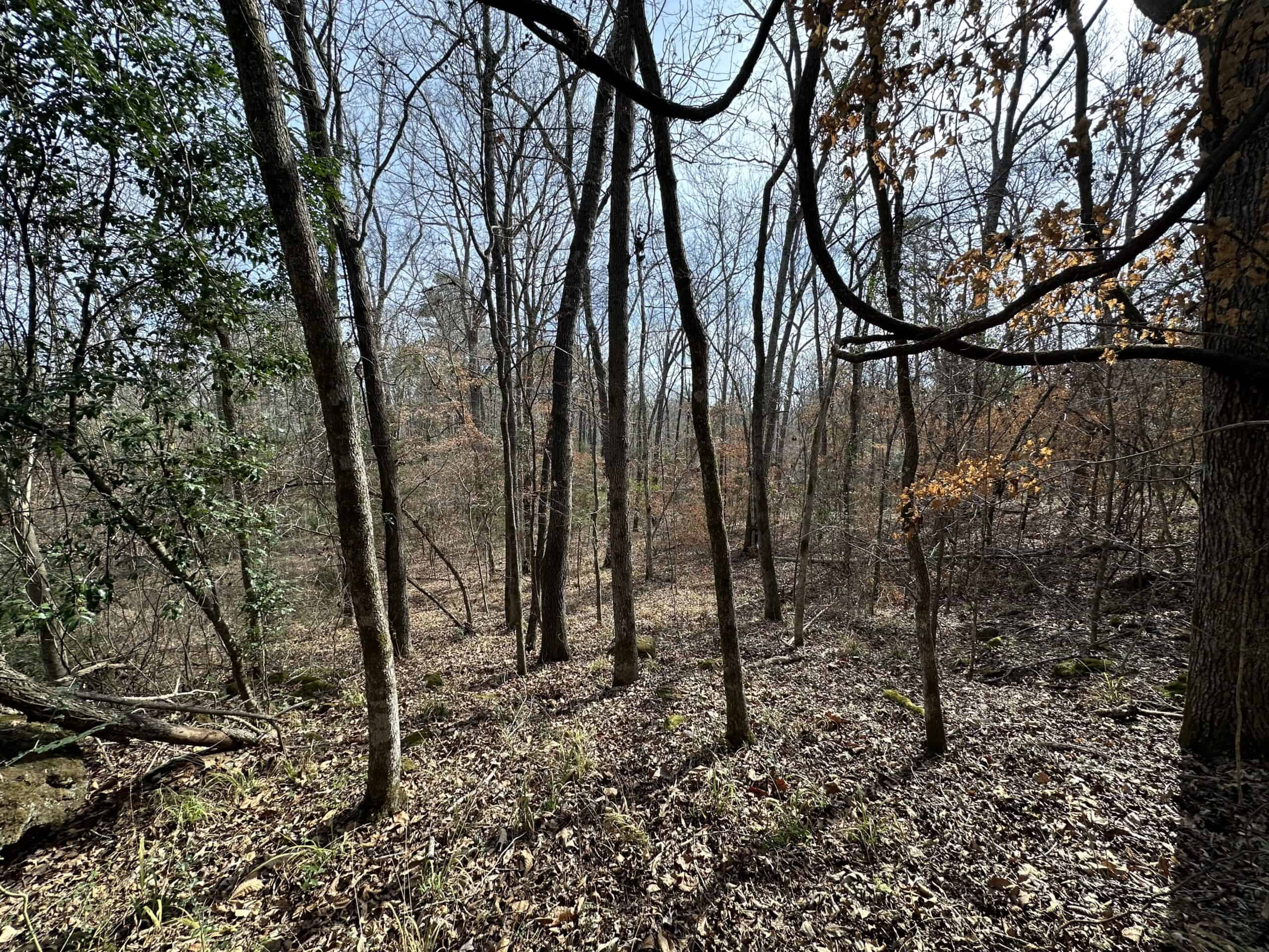 East Texas Hunting/Recreational Tract For Sale