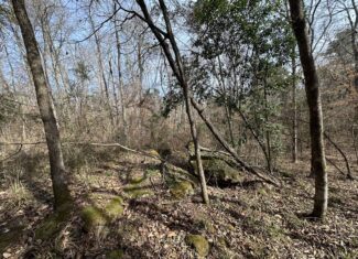 East Texas Hunting/Recreational Tract For Sale