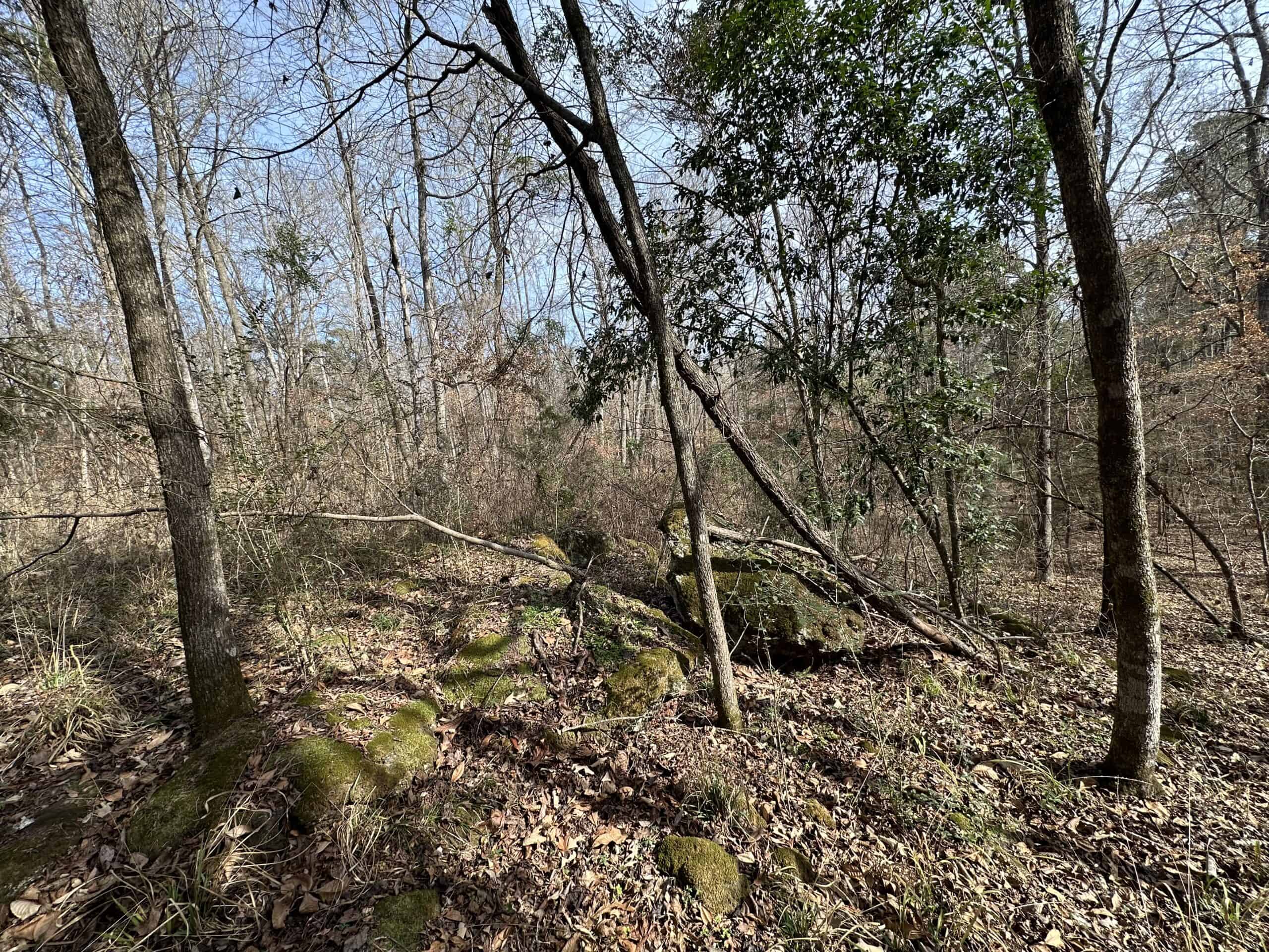 East Texas Hunting/Recreational Tract For Sale