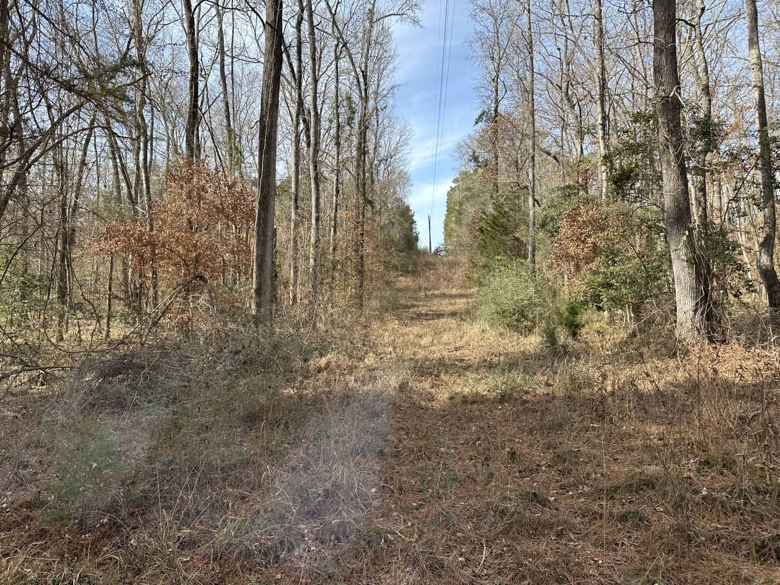 East Texas Hunting/Recreational Tract For Sale