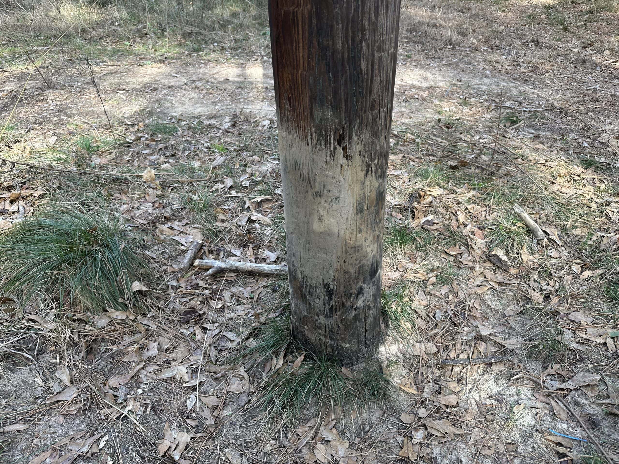 East Texas Hunting/Recreational Tract For Sale