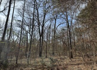 East Texas Hunting/Recreational Tract For Sale
