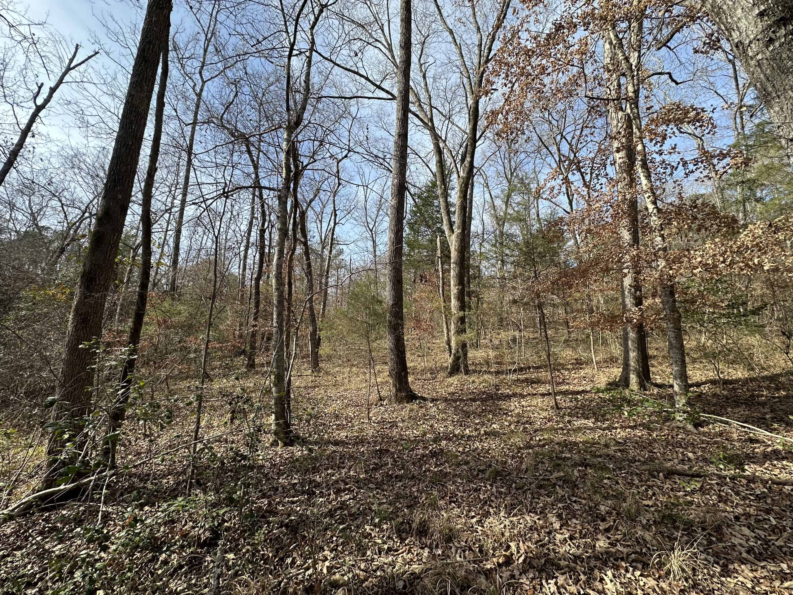 East Texas Hunting/Recreational Tract For Sale